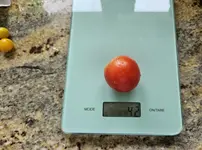 20230802_132552.jpg