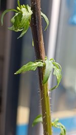 IMG_20230802_151249.jpg