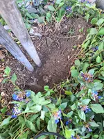 WhatsApp Image 2023-08-03 at 10.37.30.webp