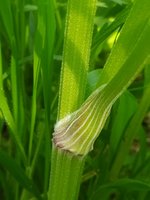 IMG_20220511_094801.jpg