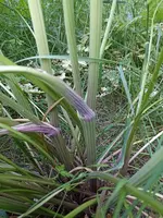 IMG_20220616_183927.jpg