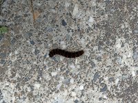 IMG_20230802_091104.jpg