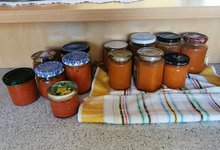 IMG_20230802_072510.jpg