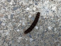 IMG_20230802_091118.jpg