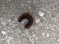IMG_20230802_091251.jpg
