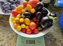 20230803_185809.jpg