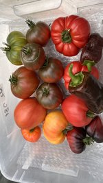 IMG_7088.jpeg