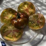 IMG_7097.jpeg