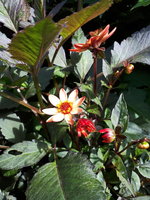 20230802_105138.jpg