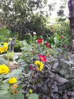 20230803_140627.jpg