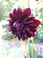 20230802_110051.jpg