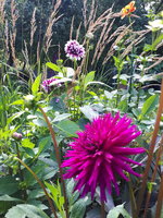 20230802_105218.jpg