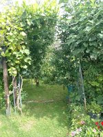 IMG_20230801_151934.jpg