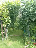 IMG_20230801_151934.webp