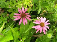 IMG_20230805_173543_1.jpg