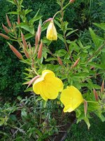 IMG_20230805_173617_1.jpg