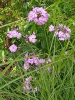 IMG_20230805_174652_1.jpg