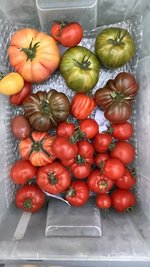 IMG_7127.jpeg
