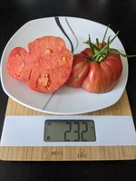 PXL_20230803_120331771.jpg