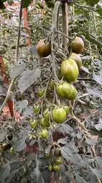 IMG_7119.jpeg