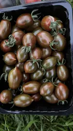 IMG_7133.webp