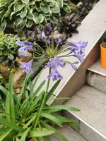 IMG_20230806_101251.webp