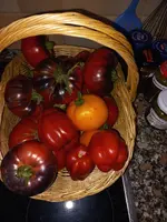 20230806_132448.webp