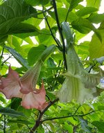 20230806_192729.jpg