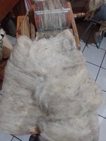 IMG_20230806_215446.jpg