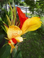 20230805_102321.jpg