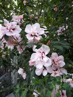 20230807_161811.jpg