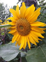 20230805_191700.jpg