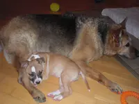 CIMG3281.webp
