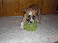 CIMG3284.webp