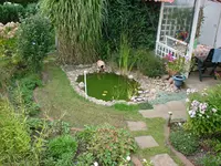 Teich1.webp