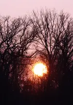 IMG_7327.webp
