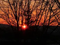P1010143.webp