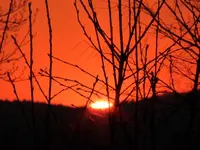 P1010149.webp