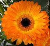 DSC04259.webp