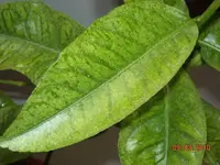 Kinderzi.renovierung 020.webp