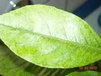 Kinderzi.renovierung 016.webp