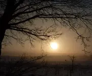 P1020874.webp