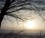P1020875.webp