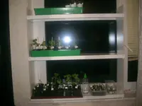 09.03.2010 032.webp