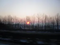 SDC10260.webp