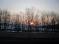 SDC10261.webp
