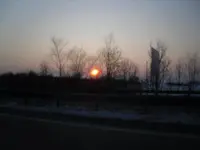 SDC10263.webp