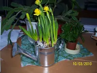 100_2313.webp