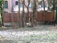IMG_0426[2].webp