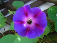 CIMG6769.webp